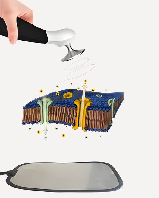 Legenda Therapy Pen Cell Membrane Effect Diagram